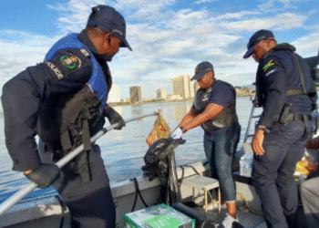 🚨 Massive Cocaine Bust at Kingston Seaport — Over 1,000 Pounds Seized in High-Value Shipment