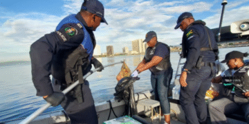 🚨 Massive Cocaine Bust at Kingston Seaport — Over 1,000 Pounds Seized in High-Value Shipment